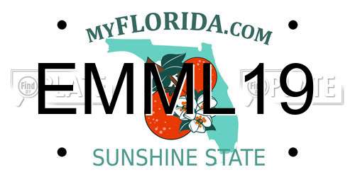 EMML19 Florida License Plate