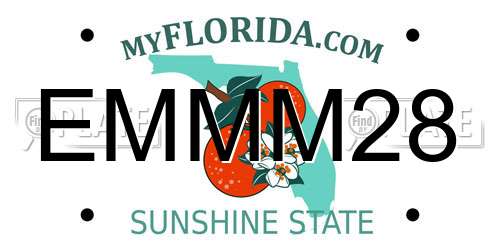 EMMM28 Florida License Plate