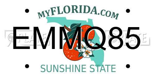 EMMQ85 Florida License Plate