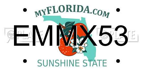 EMMX53 Florida License Plate