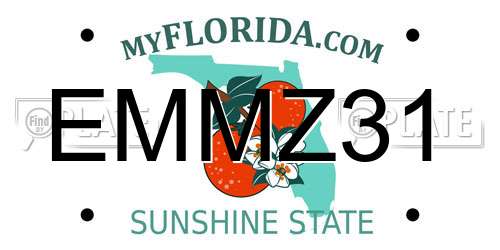 EMMZ31 Florida License Plate