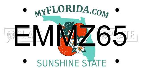 EMMZ65 Florida License Plate