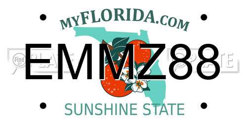 EMMZ88 Florida License Plate