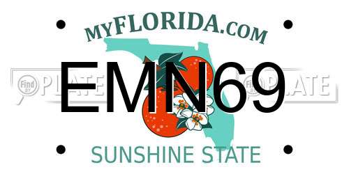 EMN69 Florida License Plate
