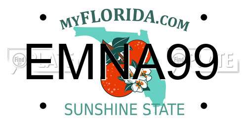 EMNA99 Florida License Plate