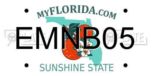 EMNB05 Florida License Plate