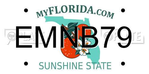 EMNB79 Florida License Plate