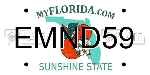 EMND59 Florida License Plate