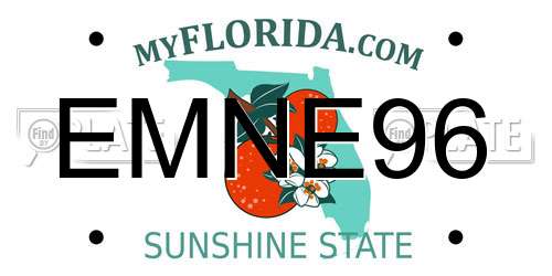 EMNE96 Florida License Plate