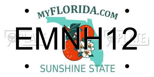 EMNH12 Florida License Plate