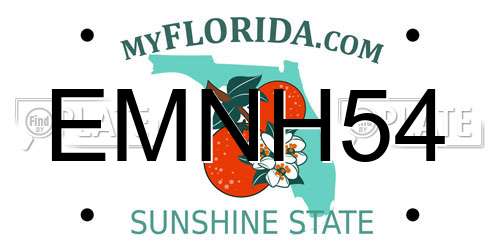 EMNH54 Florida License Plate