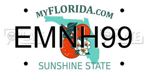 EMNH99 Florida License Plate