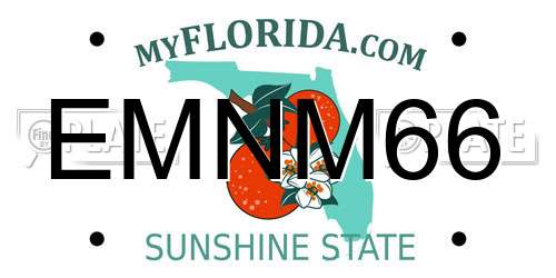 EMNM66 Florida License Plate