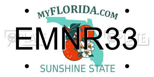 EMNR33 Florida License Plate