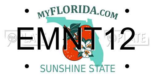 EMNT12 Florida License Plate