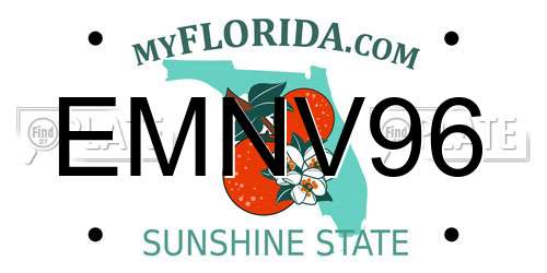 EMNV96 Florida License Plate