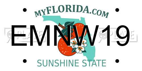 EMNW19 Florida License Plate
