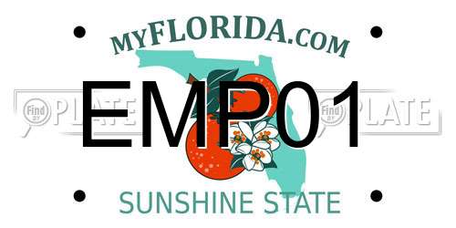 EMP01 Florida License Plate
