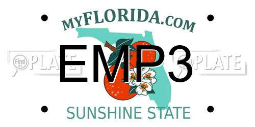 EMP3 Florida License Plate