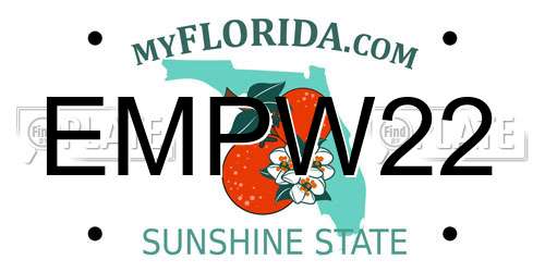 EMPW22 Florida License Plate