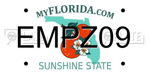 EMPZ09 Florida License Plate