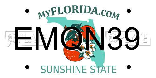 EMQN39 Florida License Plate