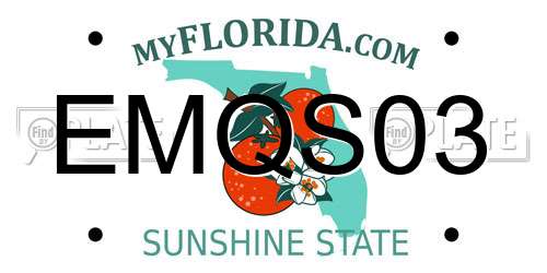 EMQS03 Florida License Plate