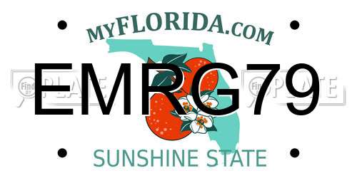 EMRG79 Florida License Plate