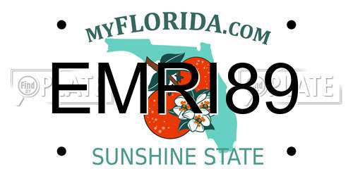 EMRI89 Florida License Plate