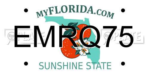 EMRQ75 Florida License Plate