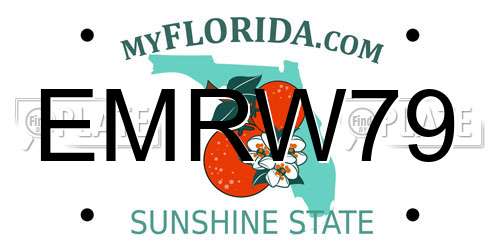 EMRW79 Florida License Plate