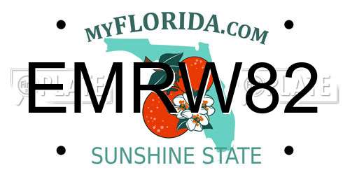 EMRW82 Florida License Plate