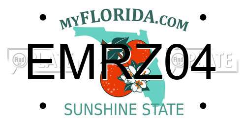 EMRZ04 Florida License Plate