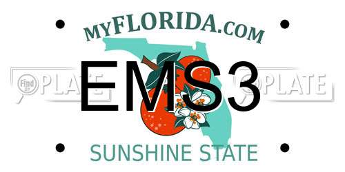 EMS3 Florida License Plate