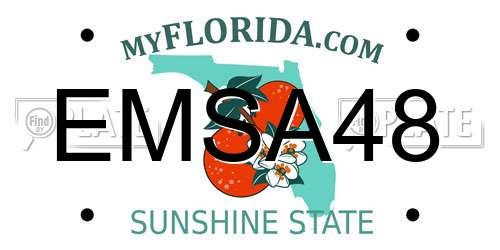 EMSA48 Florida License Plate