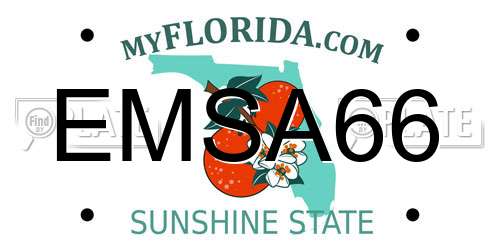 EMSA66 Florida License Plate