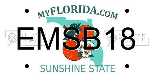 EMSB18 Florida License Plate