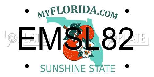EMSL82 Florida License Plate