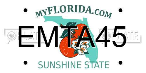 EMTA45 Florida License Plate