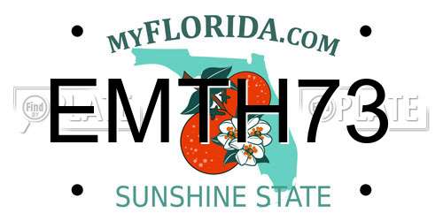 EMTH73 Florida License Plate