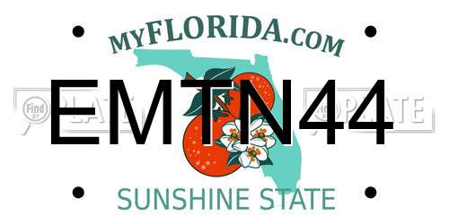 EMTN44 Florida License Plate