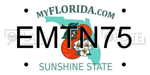 EMTN75 Florida License Plate