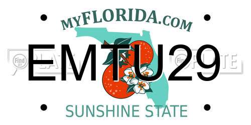 EMTU29 Florida License Plate