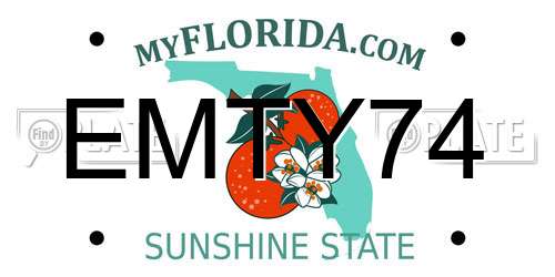 EMTY74 Florida License Plate
