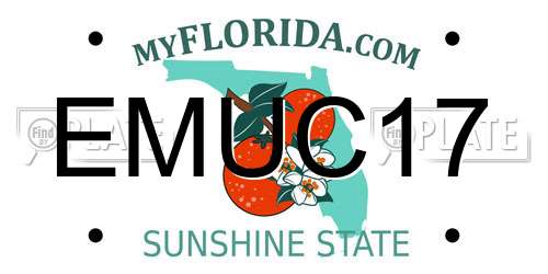 EMUC17 Florida License Plate