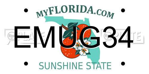 EMUG34 Florida License Plate