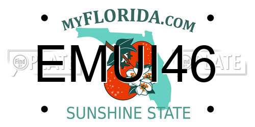 EMUI46 Florida License Plate