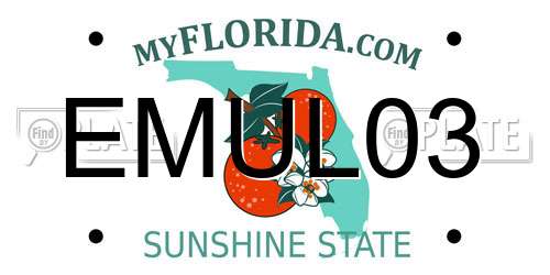 EMUL03 Florida License Plate