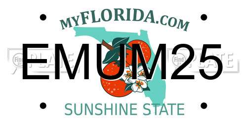 EMUM25 Florida License Plate