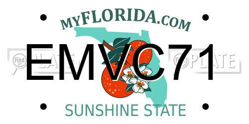EMVC71 Florida License Plate